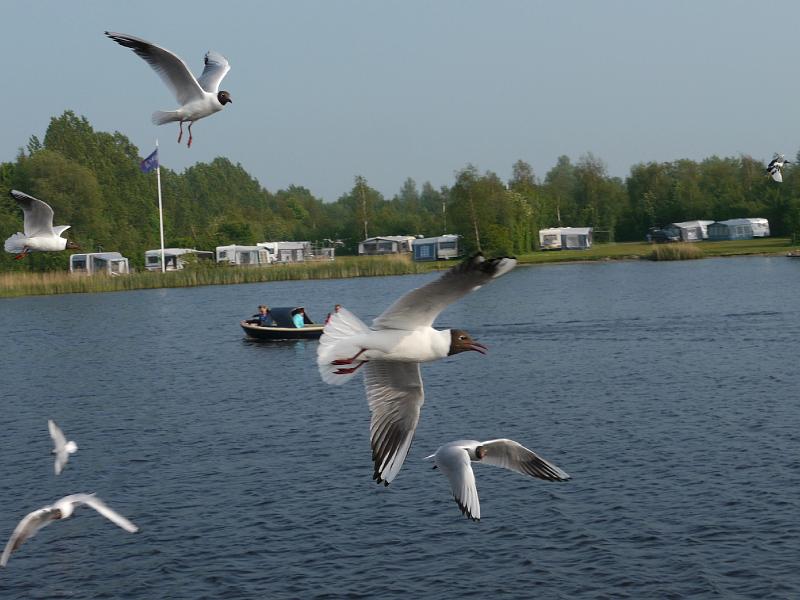 2016.05 Fryslan Bootstour - 128.jpg